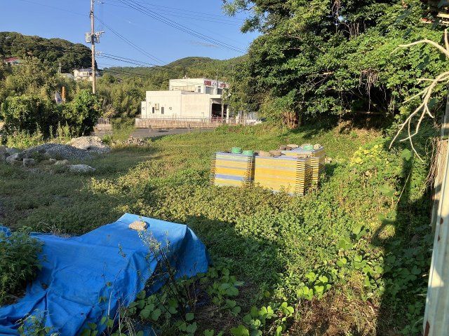 Land for Sale in Ichikikushikino City, Kagoshima - 304 Tsubo Plot - Thumbnail 4