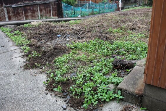 Land for Sale in Saikai City, Nagasaki - 162.96 sqm - Thumbnail 4