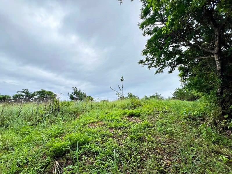 Ocean View Land for Sale in Nakijin Village, Okinawa - 19,733 sqm - Thumbnail 4