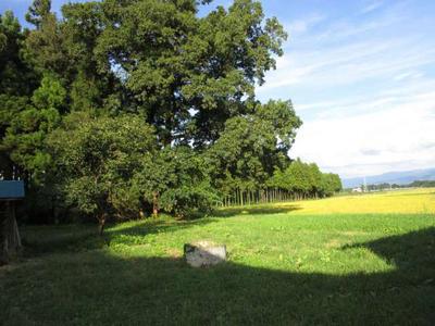 [Holmes] Isawa Koyama Akasai beautiful house | — Image 4, Oshu, Iwate