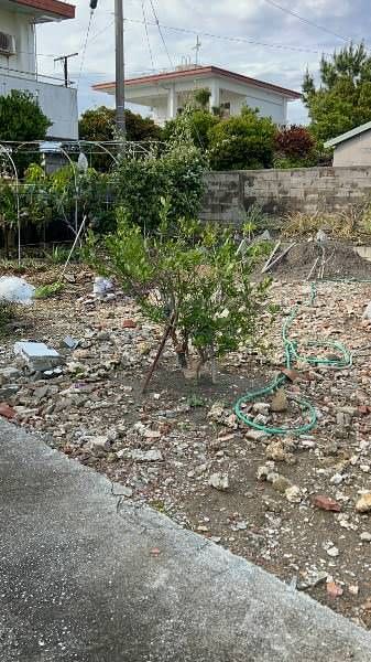 Land for Sale in Maehara, Itoman City, Okinawa - 469 sqm - Thumbnail 3