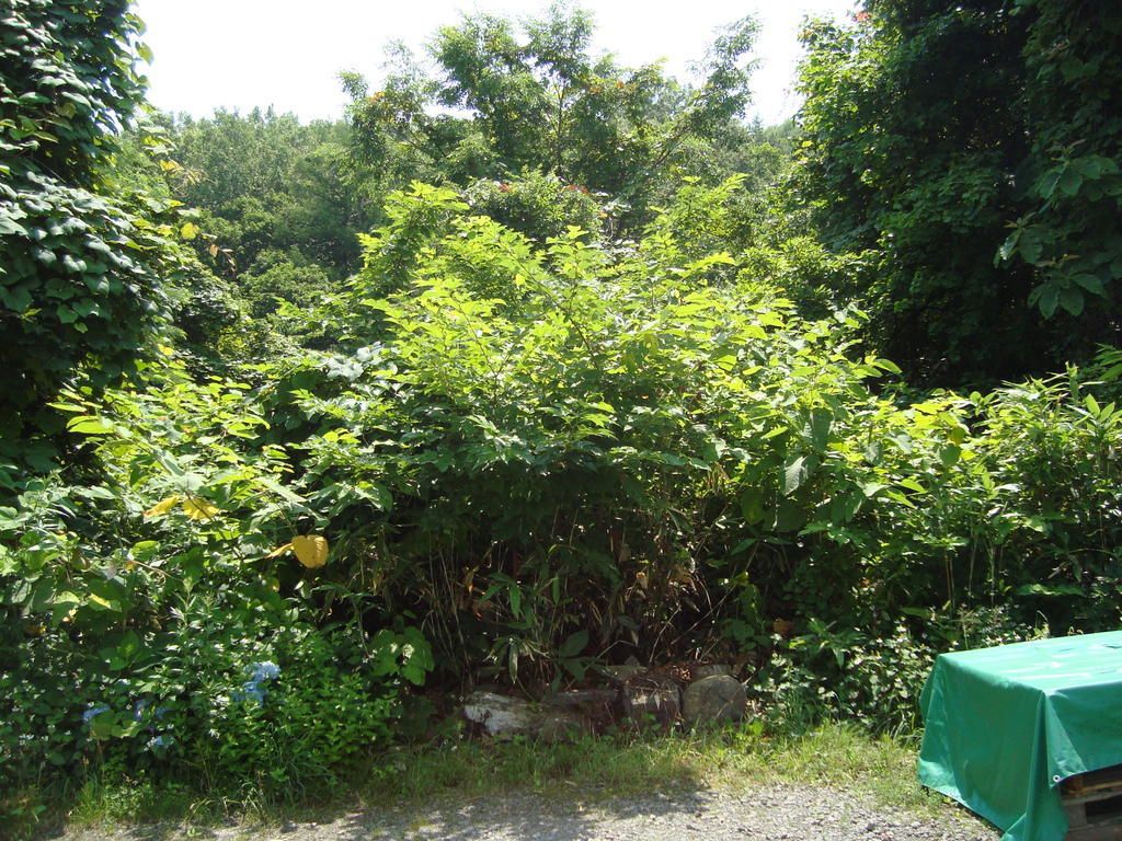 Vacant Land for Sale in Otaru, Hokkaido with Ocean Views - Thumbnail 3