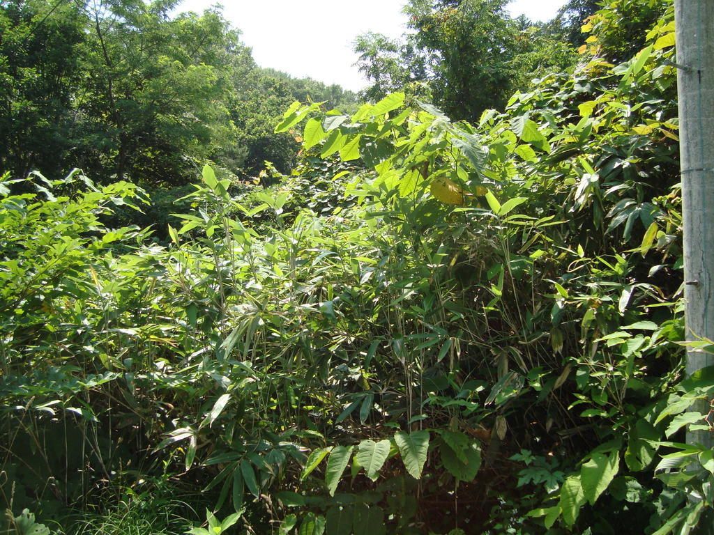 Vacant Land for Sale in Otaru, Hokkaido with Ocean Views - Thumbnail 2