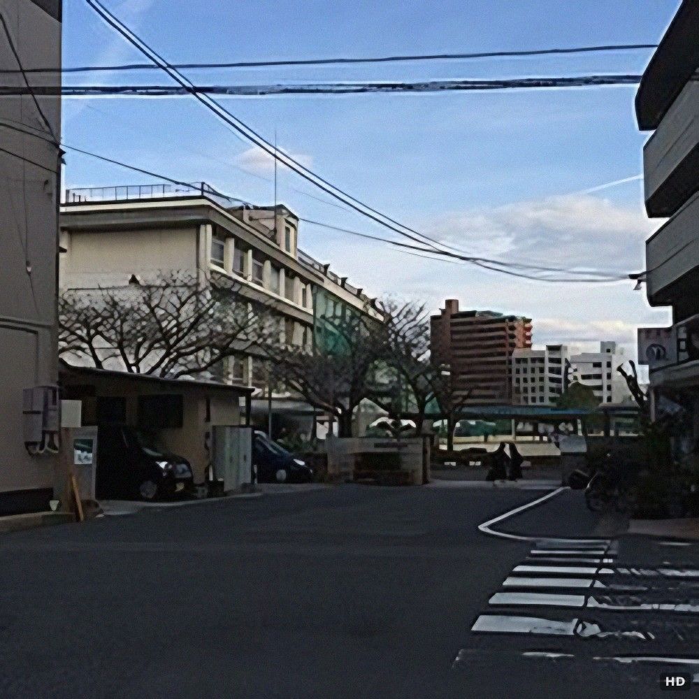 Verdi Oshiba Park Blanche 101: 3SLDK Apartment for Sale in Hiroshima - Thumbnail 3