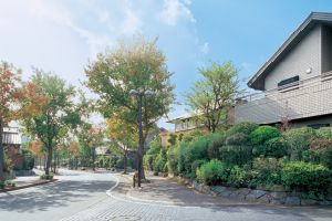 Build-to-Order Land Plots in Common Stage Koga New Town, Ibaraki - Thumbnail 2