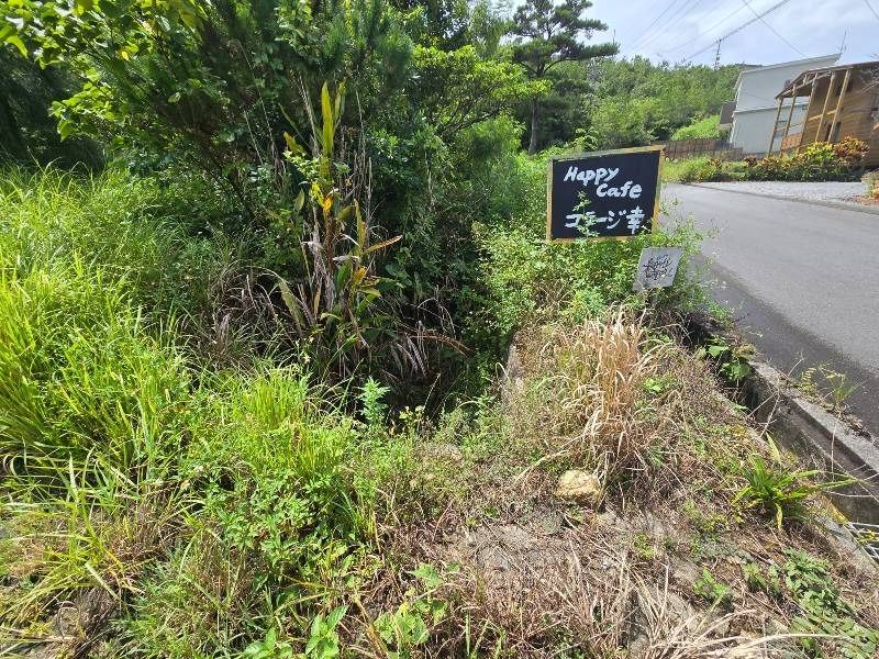 Vacant Forest Land for Sale in Nakijin Village, Okinawa - Thumbnail 3