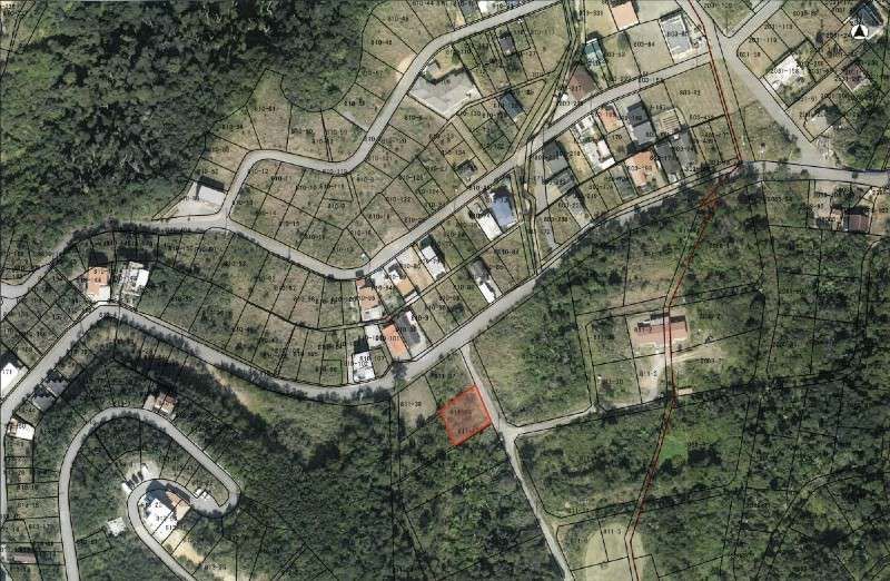 Vacant Forest Land for Sale in Nakijin Village, Okinawa - Thumbnail 2