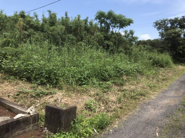 479 sqm Land for Sale in Kanoya, Kagoshima - Thumbnail 4