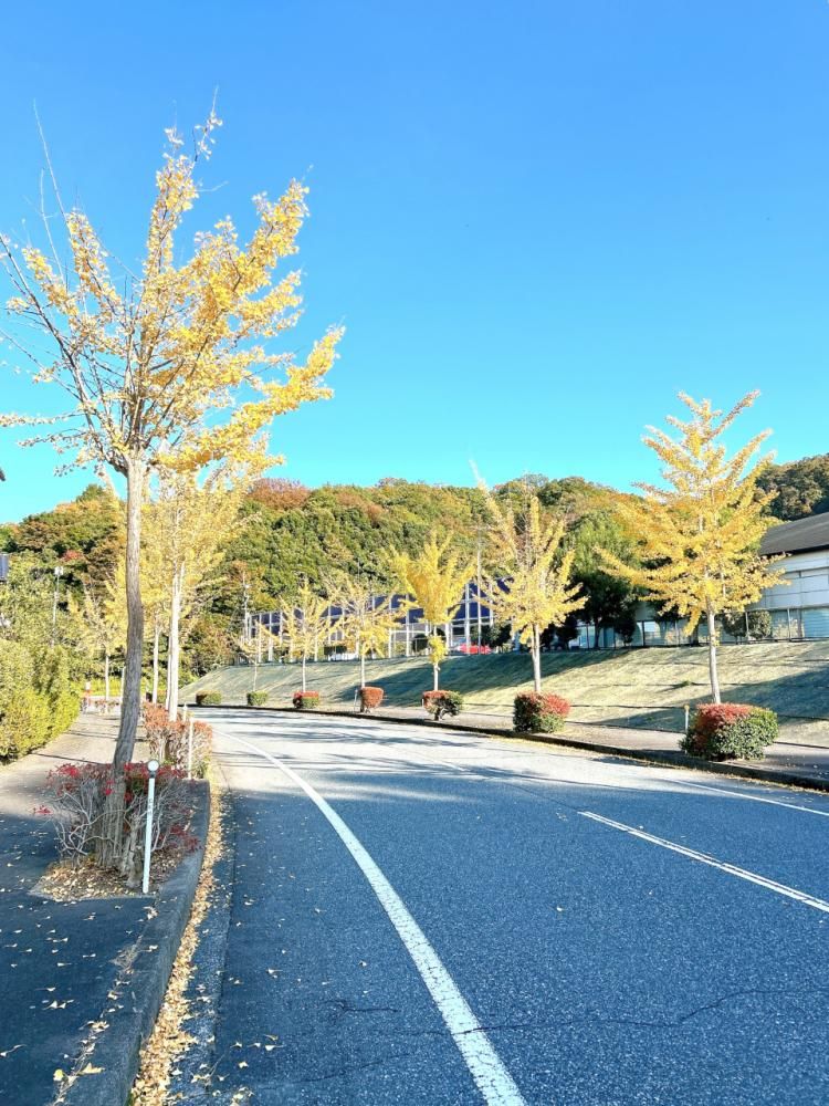 Renovated 4SLDK House in Tottori Wakabadai with Garden & Parking - Thumbnail 4