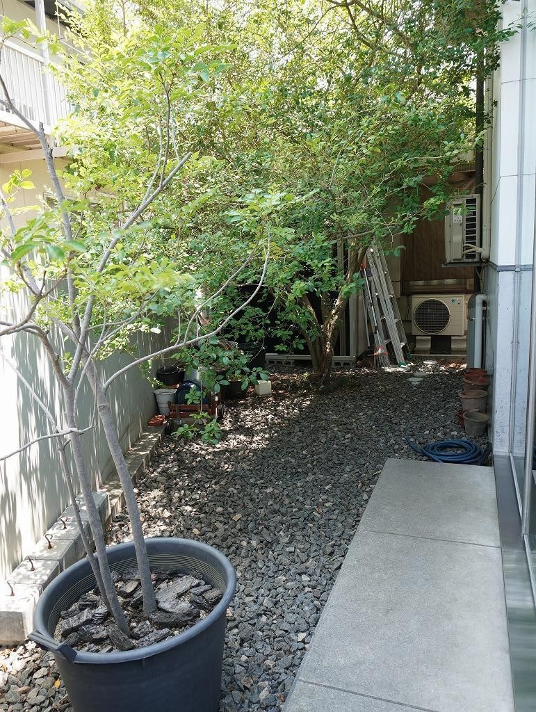 1SLDK House with Basement in Takamatsu | Wood, Iron, Glass & Concrete Design - Thumbnail 4