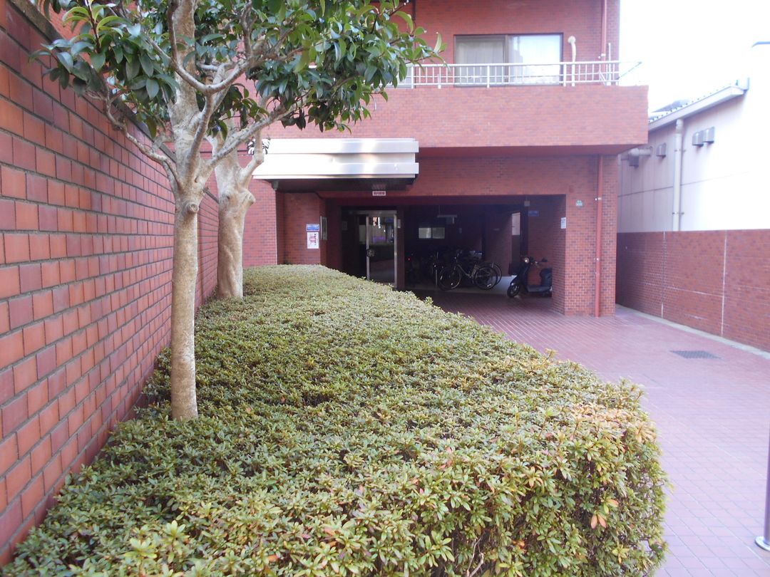 1LDK Apartment in Fukuoka with Rooftop Balcony - Thumbnail 3