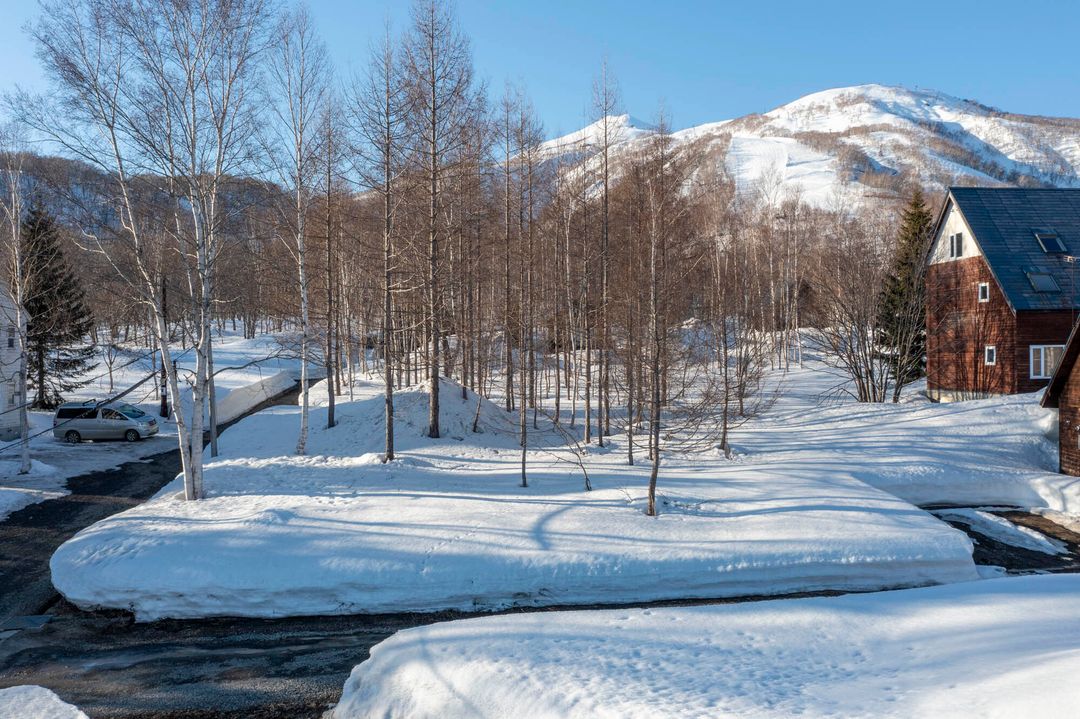 Land for Sale in Higashiyama, Niseko, Hokkaido - 900 sqm - Thumbnail 4