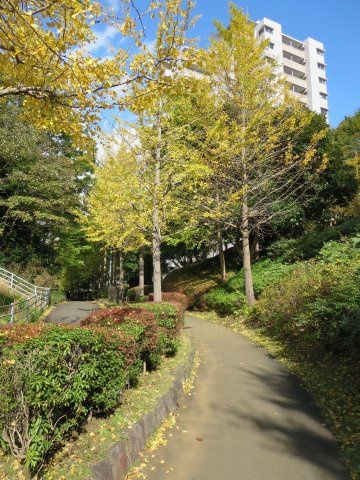 Renovated 3LDK Apartment in Yokohama's Wakabadai Area - Thumbnail 2