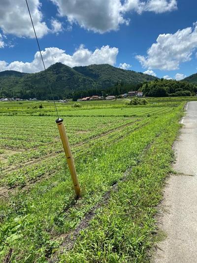 8DK Country House with Rice Paddies in Higashihiroshima — Image 2, Higashihiroshima, Hiroshima