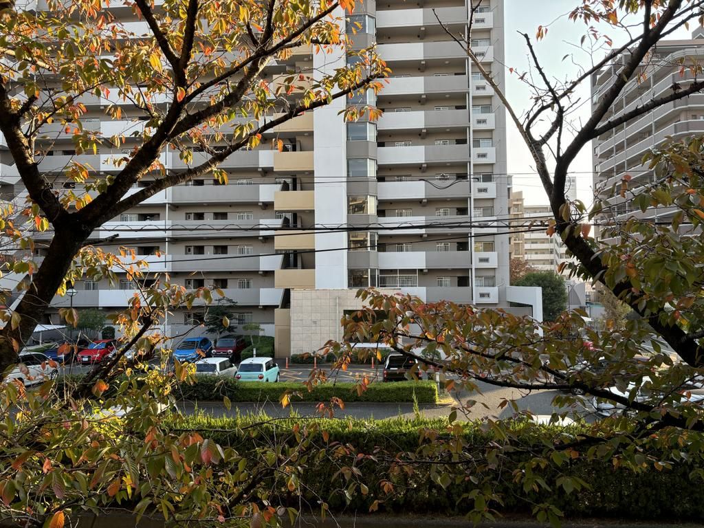 Renovated 2LDK Apartment in Fukuoka's Sawara Ward - Thumbnail 2