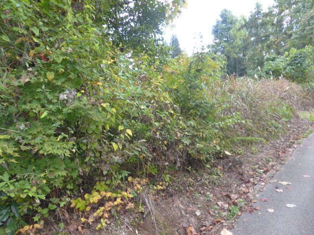 Land for Sale in Uozu City, Toyama - 1603 sqm Vacant Plot - Thumbnail 2