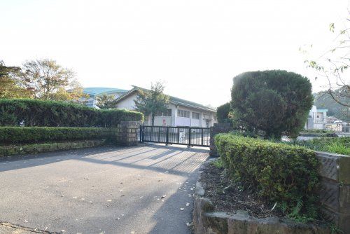 Land with Old House in Kanoya, Kagoshima - 2,315 sqm Plot - Thumbnail 4