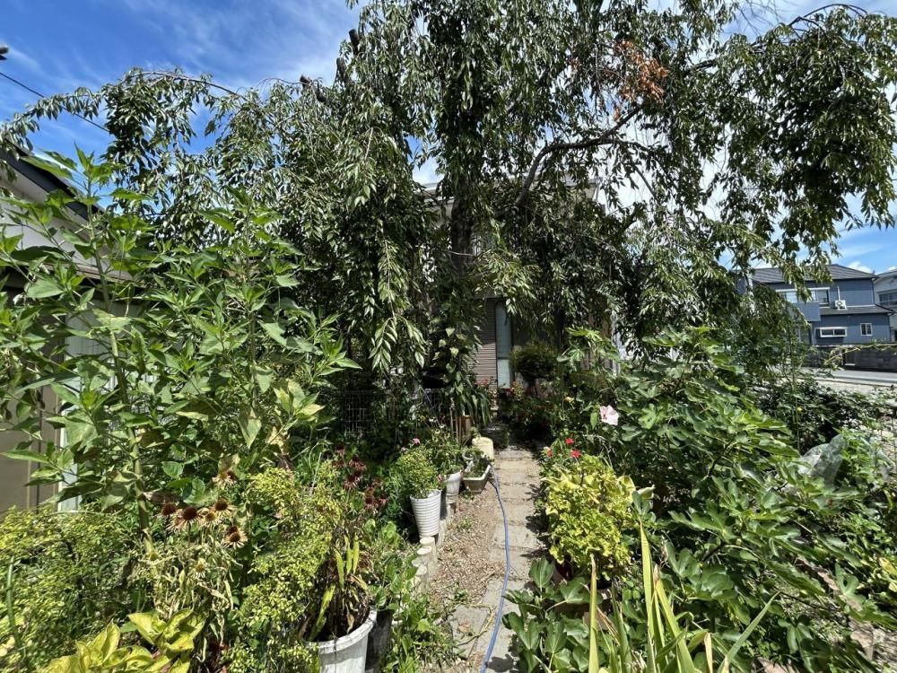 Land for Sale in Kai City, Yamanashi with Old House - Thumbnail 4