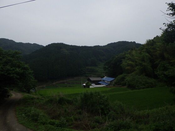 479 sqm Cleared Land for Sale in Genkai, Saga - Thumbnail 2