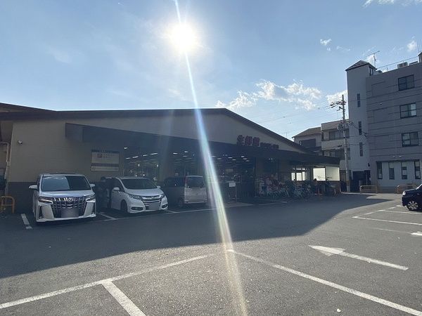 Land for Sale in Kita Ward, Kyoto - South-Facing Plot, No Building Conditions - Image 1