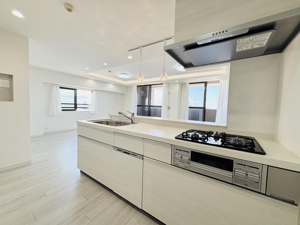 Renovated 3LDK Apartment in Chiba Central - Dia Palace Palettia - Thumbnail 4