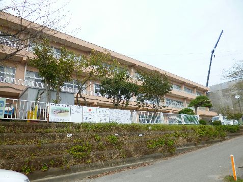Land for Sale in Hitachi, Ibaraki - 1,504 sqm - Thumbnail 4