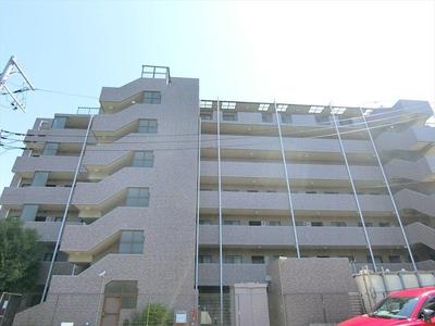 Renovated 3LDK Apartment in Kawasaki Miyamae Ward — Image 2, Miyamae, Kanagawa