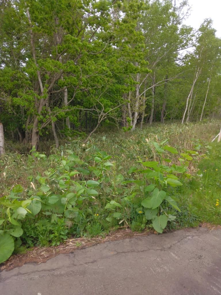 Large 21,509 Tsubo Land for Sale in Akaiwa Village, Hokkaido - Thumbnail 3