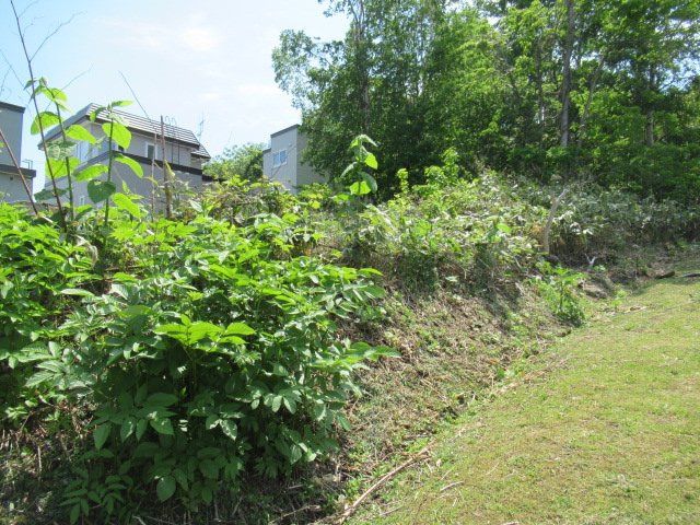 Vacant Land for Sale in Otaru, Hokkaido - 198 sqm Corner Lot - Thumbnail 2