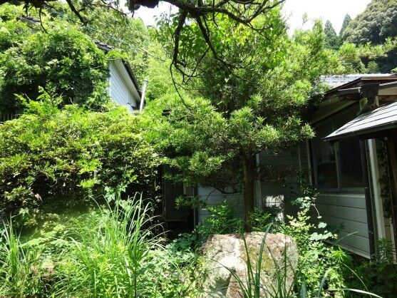 Spacious Home with Large Garden & Forest in Takanabe, Miyazaki - Thumbnail 2