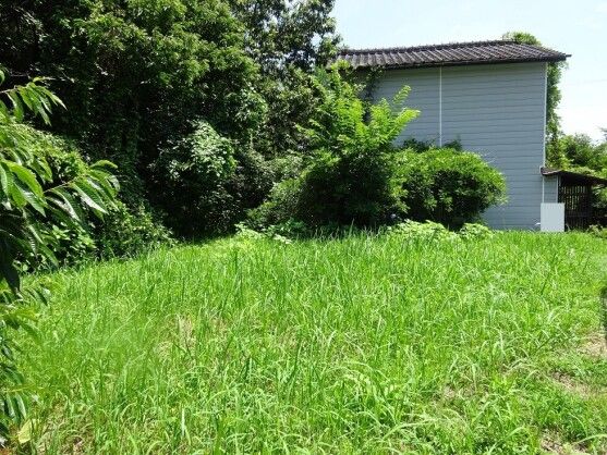 Spacious Home with Large Garden & Forest in Takanabe, Miyazaki - Thumbnail 3