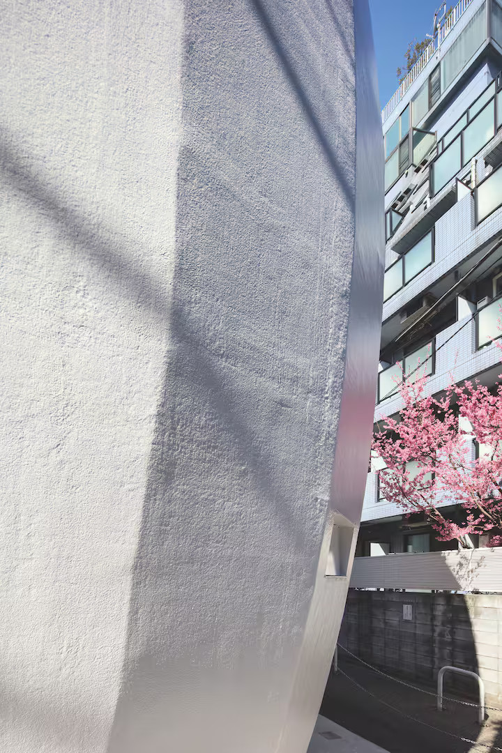 Natural Ellipse Iconic Architectural House in Shibuya, Tokyo - Thumbnail 4
