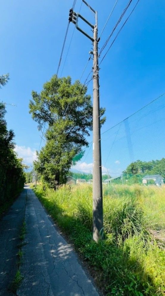 7,457 sqm Land for Sale in Oshino Village, Yamanashi Near Mount Fuji - Thumbnail 3