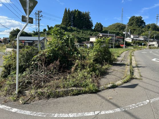 939.11 sqm Vacant Land for Sale in Kawamata, Fukushima - Thumbnail 2