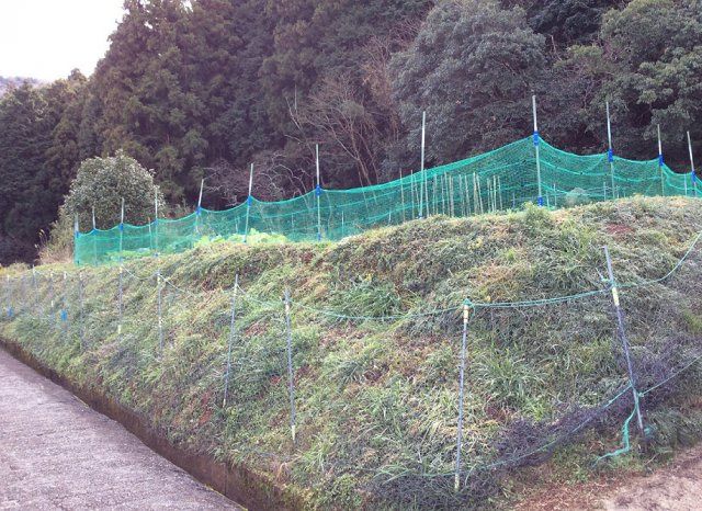 231 sqm Vacant Land for Sale in Kainan, Wakayama - Thumbnail 4
