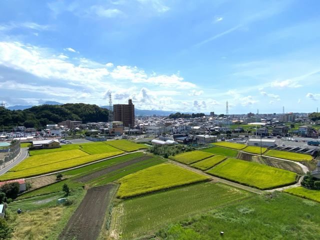 3LDK Apartment in Matsuyama with Southeast Balcony Views - Thumbnail 3