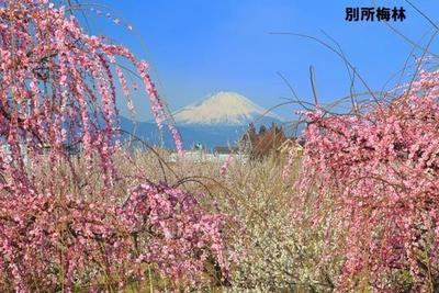 4SLDK House in Odawara with 2 Car Spaces — Image 1, Odawara, Kanagawa