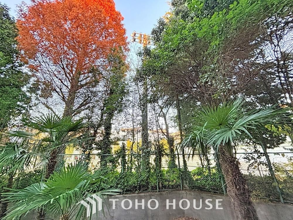 2SLDK Apartment for Sale in Bunkyo, Tokyo - Renovated 70sqm - Thumbnail 3