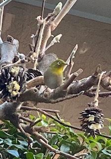 [Homes] Itopia Niiza Building 14 | — Image 2, Niiza, Saitama