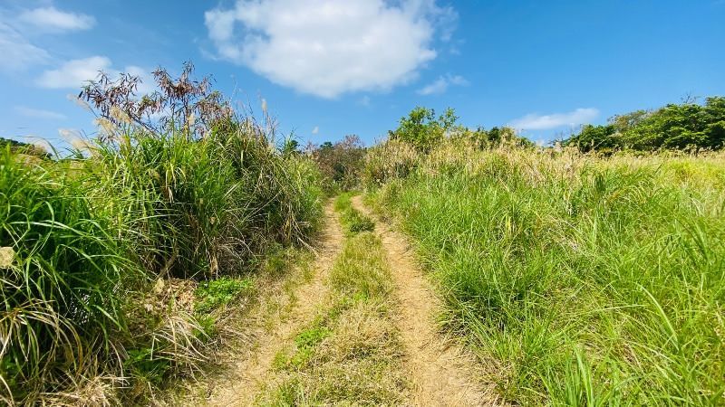 Vacant Land for Sale in Nakijin Village, Okinawa - Thumbnail 2