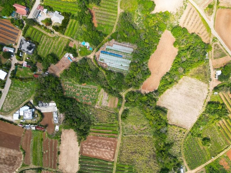 Vacant Land for Sale in Nakijin Village, Okinawa - Thumbnail 4