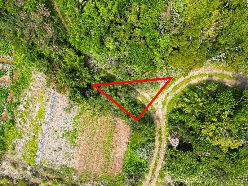 Vacant Land for Sale in Nakijin Village, Okinawa - Thumbnail 3