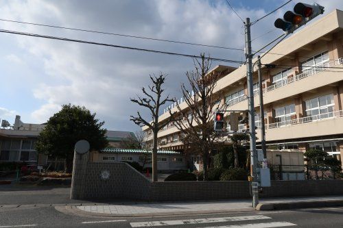 Land with Old House for Sale in Hiezu, Tottori - 1233.9 sqm - Thumbnail 4