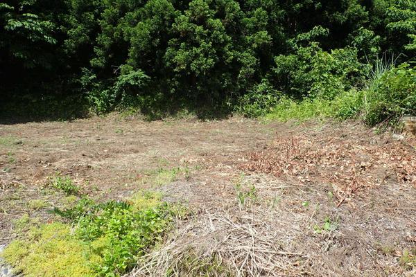 2-Ground-03 - Thumbnail 2