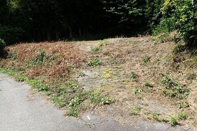 2-Ground-03 — Image 1, Sekikawa, Niigata