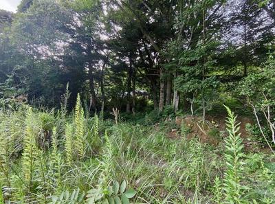 Naraha, Fukushima — Image 1, Naraha, Fukushima