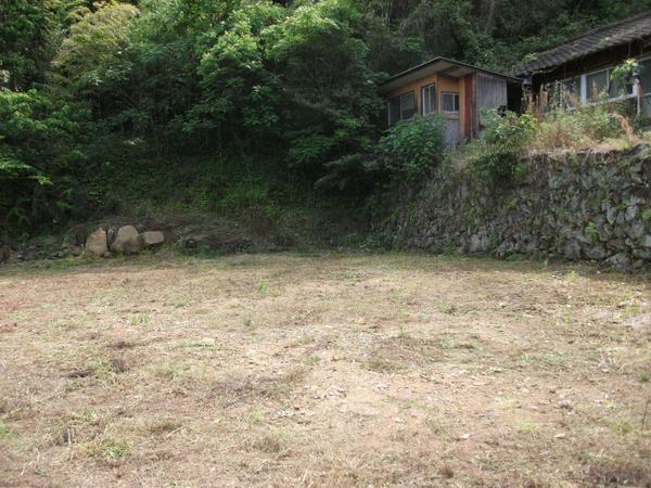 №173 - Thumbnail 4