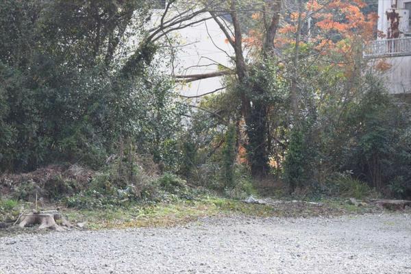 Vacant Land Plot in Coastal Muroto City, UNESCO Geopark Area - Thumbnail 3