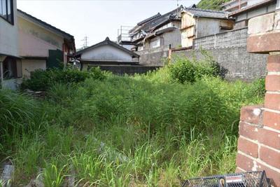 Vacant Land Plot in UNESCO Geopark Area of Muroto Cape, Kochi — Image 1, Muroto, Kochi
