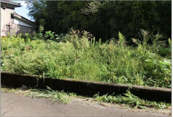 Vacant Land Plot in Tagami Town, Niigata - 286.51m² - Thumbnail 2